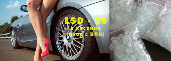 трава Магас