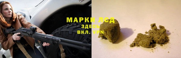 трава Магас