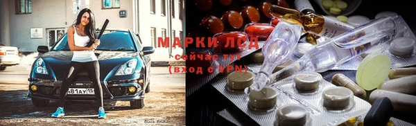 трава Магас