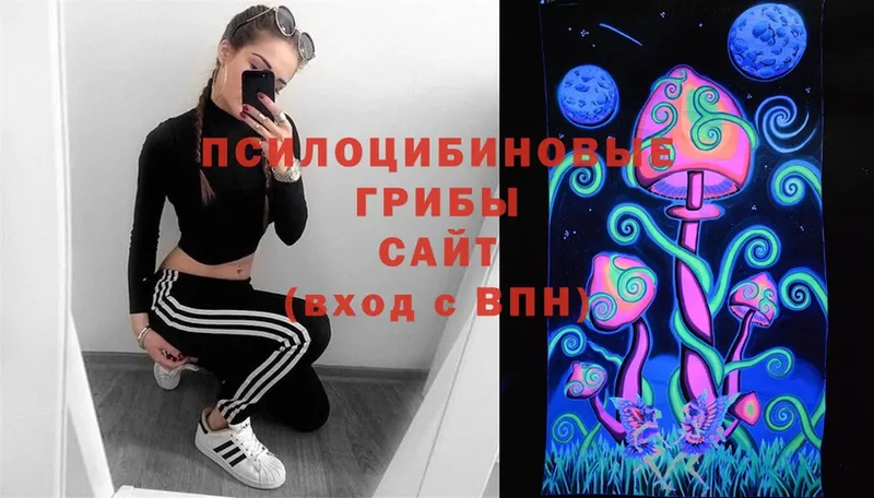 Псилоцибиновые грибы Psilocybe  Мураши 